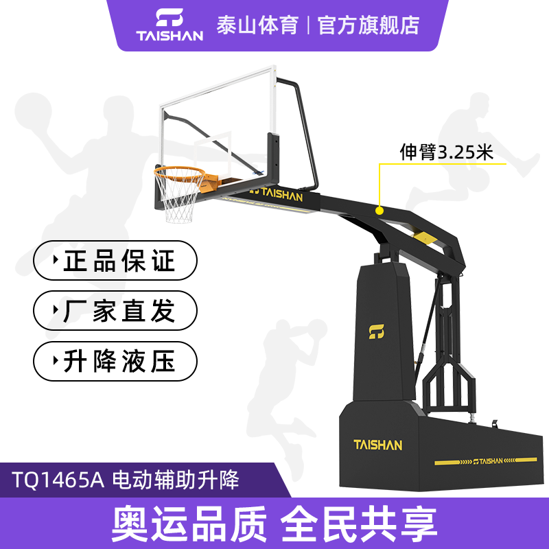 泰山体育 电动液压篮球架 室内场馆 TQ1465A   TQ1465A/1 单只
