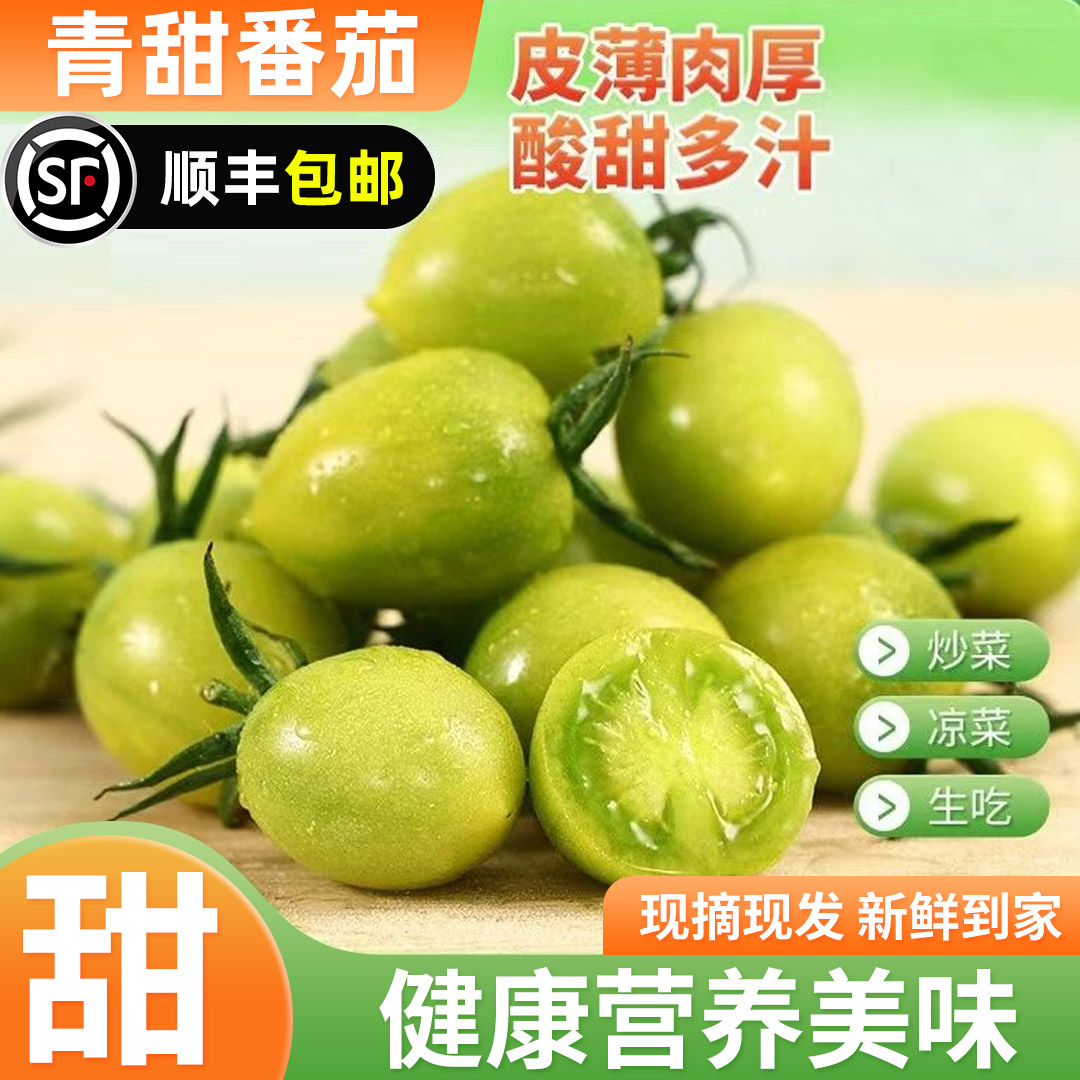 青甜2号小番茄青口蜜绿色小柿子