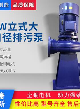 150LWP180-30-30大功率污水排污泵直立式污水排污泵立式水泵