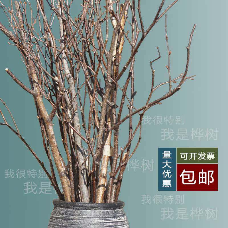 天然桦树枝干森系背景装饰花瓶搭配插花枯枝造景民宿中式复古摆件