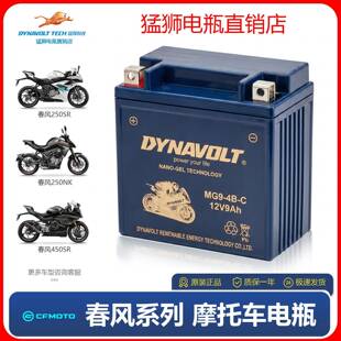 适用春风摩托车电瓶250SR狒狒450SR 400GT国宾650 CLX700蓄电池