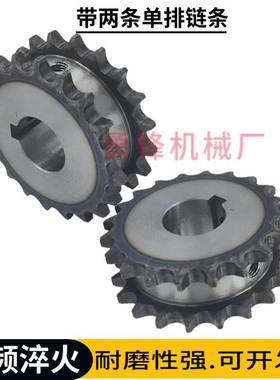 4分双驱链轮08B假双排链轮双驱动链轮成品孔链轮SP40SD-18-N-2