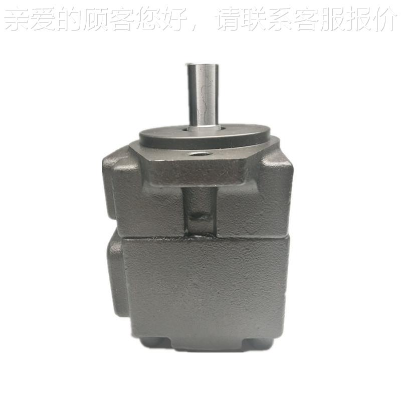 仙居凯PYWR斯特高压叶片PV21-6泵/810 PV2R2 PV2R3/ PV2R4 -F