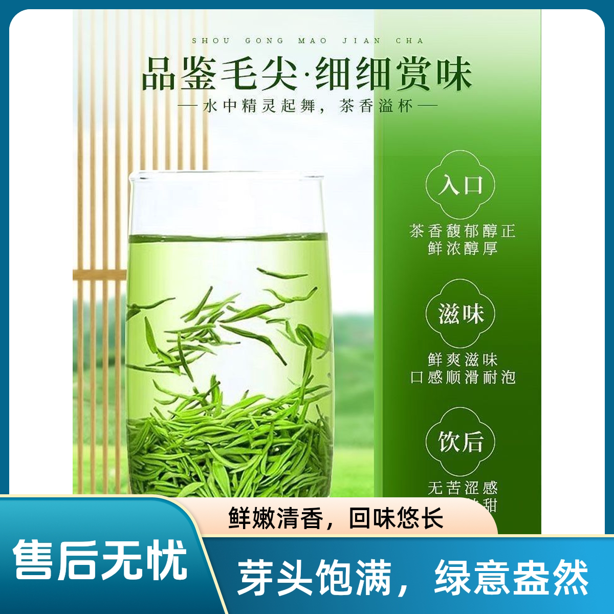2026信阳毛尖明前茶特级核心产地