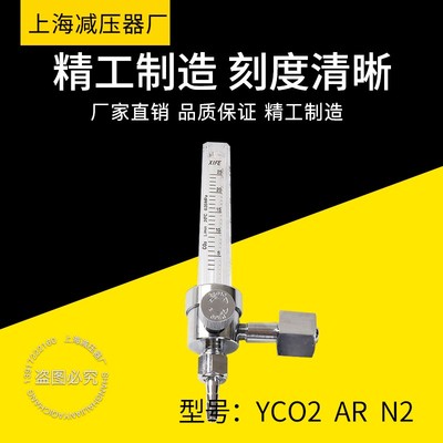 直接式流量计氧气 氩气 氮气 二氧化碳 氦气 标气 混合气体流量计