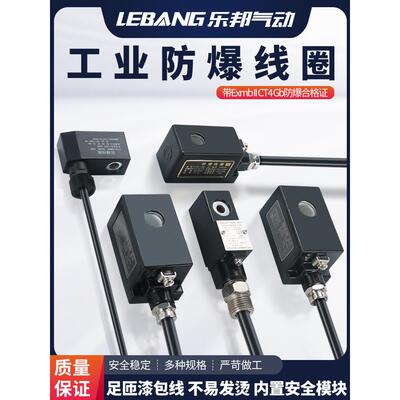 隔爆电磁阀脉冲阀防爆线圈凯威纳EX0960/0920/0961/0921/1360/09