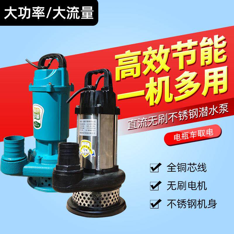 直流潜水泵12V24V48V60V72V电动车抽水泵小型电动农用灌溉抽水机