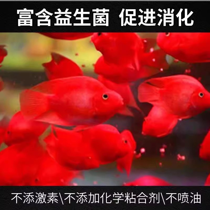 酋长血鹦鹉鱼饲料增红增艳发财鱼罗汉鱼地图鱼增色鱼粮不浑水
