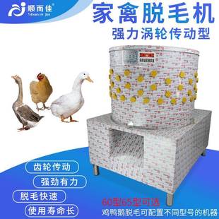 60型齿轮传动三鸟脱毛机鸡鸭鹅脱毛机家禽乳鸽拔毛机鸭鹅涡轮型