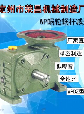 WPDZ蜗轮蜗杆减速机 减速器小型齿轮变速箱