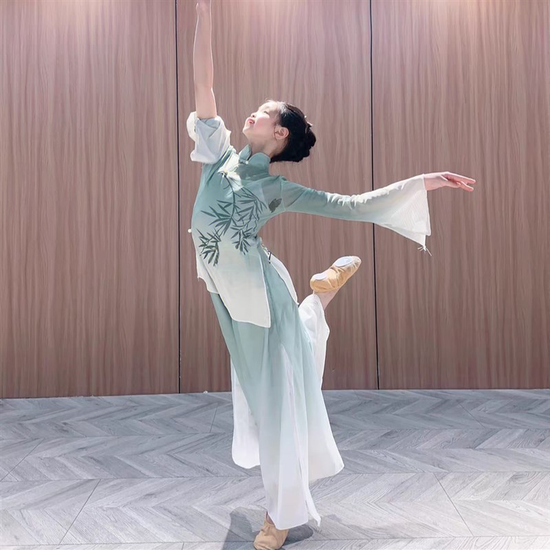 青花瓷中小学生古典舞表演服弹力体韵纱衣元波秦淮儿童表演服