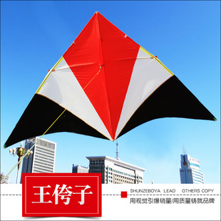 2021新品潍坊王侉子544软伞布碳杆微风大型成人长尾风筝线轮好飞