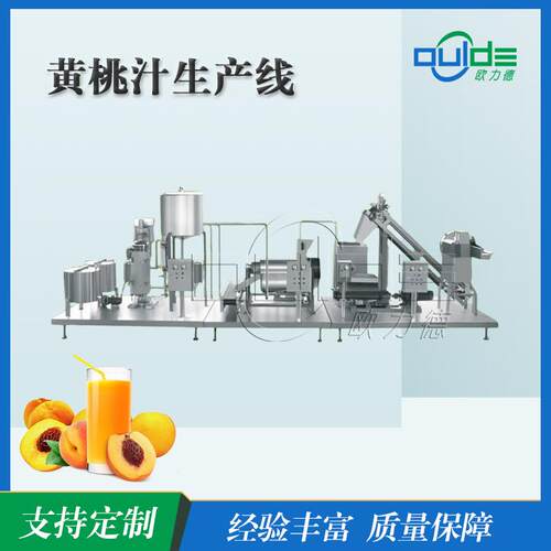 全自动生产线 大小型果汁果酱饮 料橙ZNA汁 生产线黄汁生产线桃榨