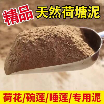 泥土荷花纯正天然荷塘泥