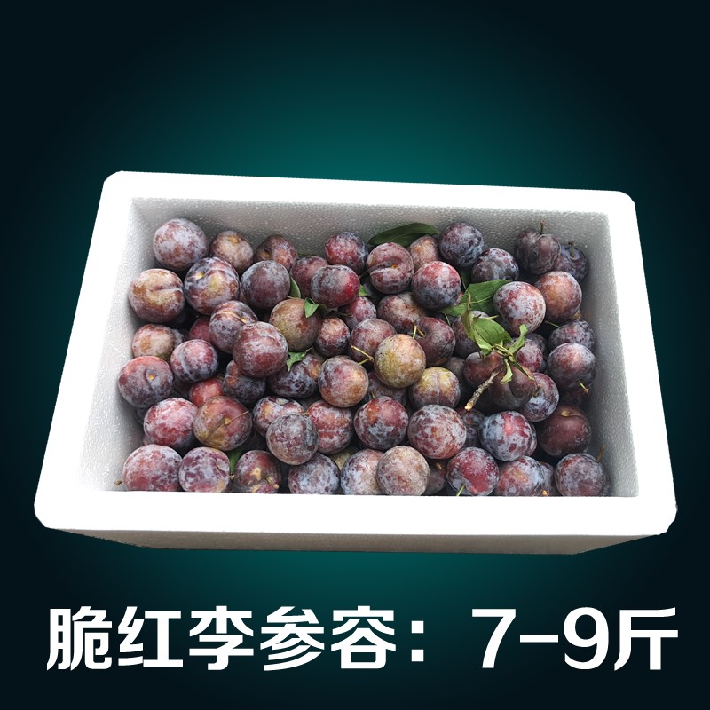 邮政泡沫箱保温箱2.3.4.5.6.7.8号保鲜快递冷V藏大号加厚冷冻