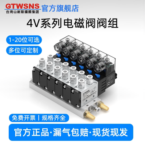 GTWSNS台湾山耐斯集团电磁阀组
