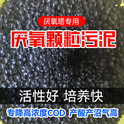 厌氧颗粒污泥塔降高浓度C