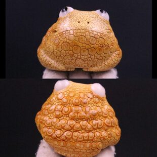 吉木堂竹根雕精品手把件名家杨吉满钉白眼睛金蟾蟾蜍艺术品摆件