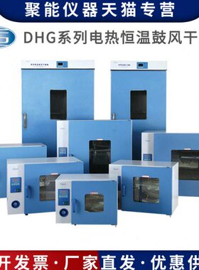 上海一恒DHG-9030/9070/9035/9075A电热恒温鼓风干燥箱实验室烘箱