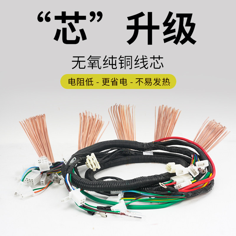 电动车整车线电摩大公主电缆线总成一套中沙电动车通用线路