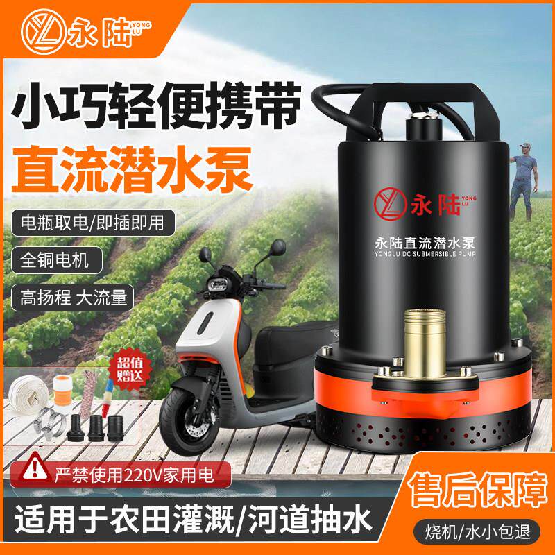 12v永陆直流潜水泵24v48v60v72电瓶家用小型农用灌溉电动车抽水泵