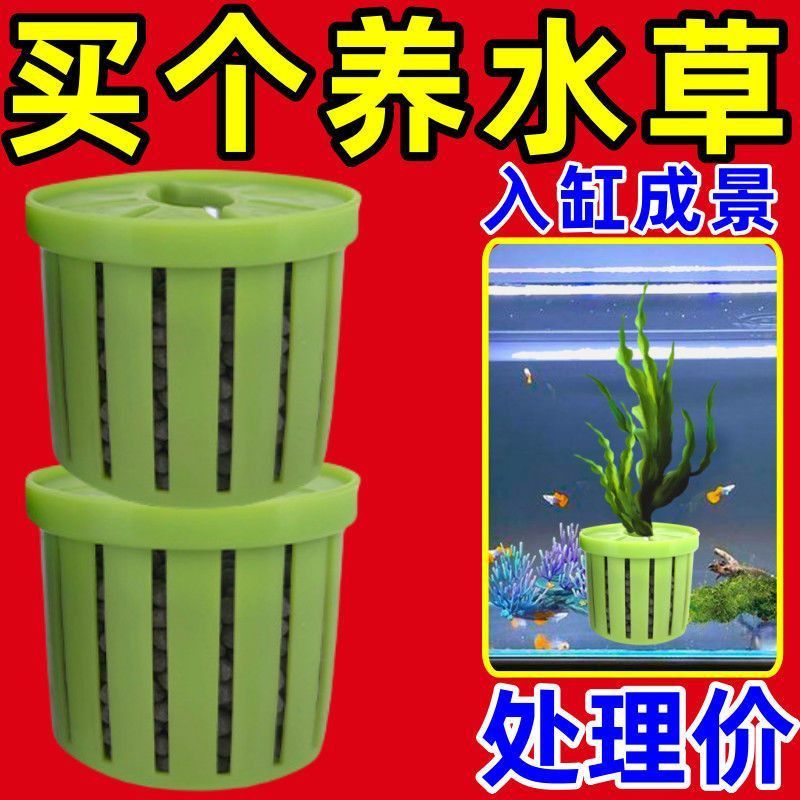 新款鱼缸水草定植篮造景装饰养草杯花卉固根器水草泥沉底固定器