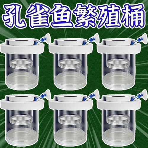 孔雀鱼鱼缸繁殖新款隔离悬浮幼鱼产房母鱼鱼苗悬浮式漂繁殖孵化器