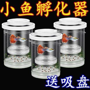 鱼缸隔离盒孔雀鱼繁殖盒鱼缸孵化器小鱼幼鱼母鱼产房悬浮漂浮式
