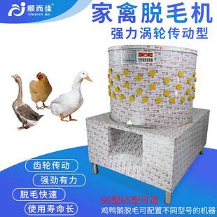 60型齿轮传动三鸟脱毛机鸡鸭鹅脱毛机家禽乳鸽拔毛机鸭鹅涡轮型