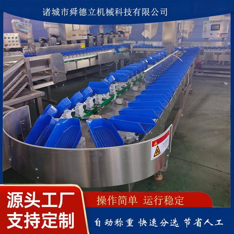 柿饼石榴竹笋称重选别机选别称海参鲍鱼螃蟹重量分选机精准称重