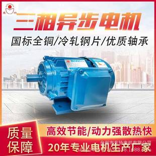 台州东协三相异步电机ye2粉碎机电机380v1.1w1.5w2.2w3w4w