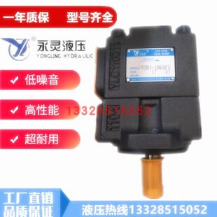 271 F居永灵4 V2L Y1RR FC21 23P叶片泵7 F仙P5V2油泵P1V2R