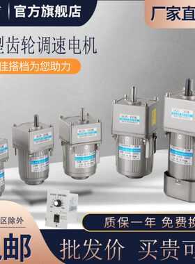 交流调速电机马达915齿轮减速电机0/6/12040W25/220 V//250//W60