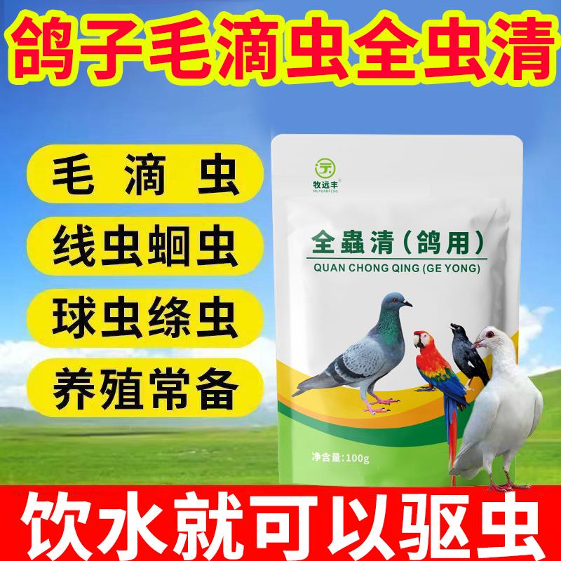 鸽子体内外驱虫赛鸽信鸽肉鸽全驱净毛滴虫球虫专用全虫清打虫饮水