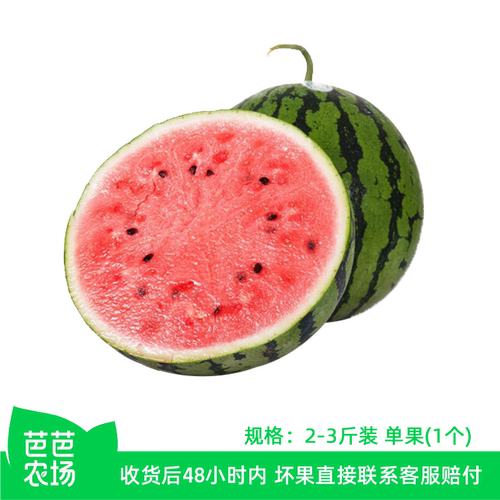 【芭芭农场】新鲜西瓜1个（2~3斤） 多仓发货  5-2Y
