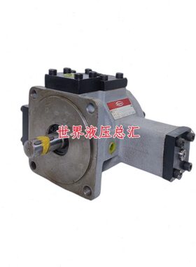 O--VD-1302F-/O5AV/A2YP1F4G4A2HTO丰兴30BB/变3B5A量/叶片泵I-K-