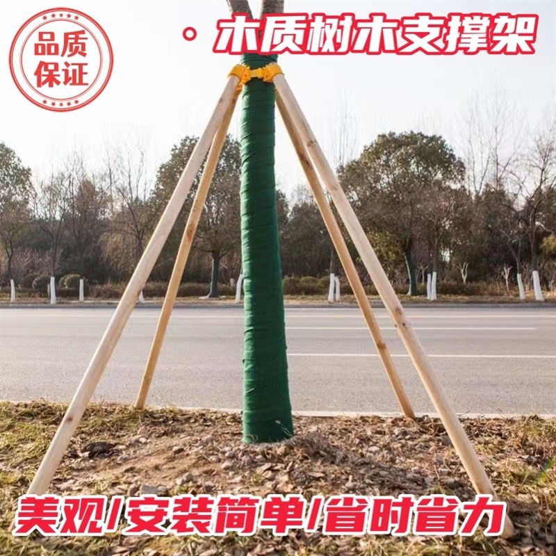 树苗行道树架杆扶正加厚支架三角架园林杉木苗S木树木支撑固定器