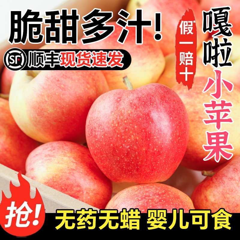 正宗嘎啦苹果新鲜水果当季整箱现摘红富士甜脆冰糖心早熟丑苹果