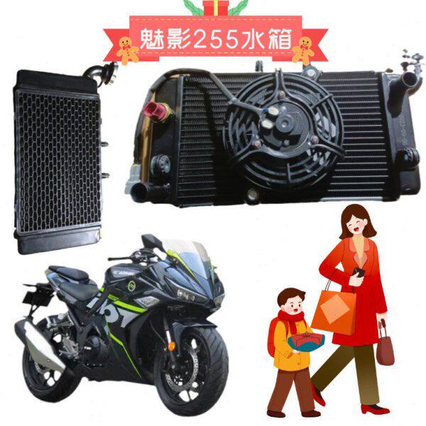 魅影255S摩托车水箱配件水冷散热器国威GW250诺马跑车冷却箱风扇