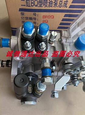 福建龙溪力佳SL2105 2100 2110 柴油泵高压喷油泵大泵拖拉机配件