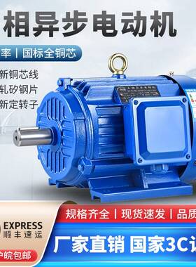 需定制三相电动机Y100L1-4 2.2KW YE2-100L2-4 3/1.5KW全铜国标电