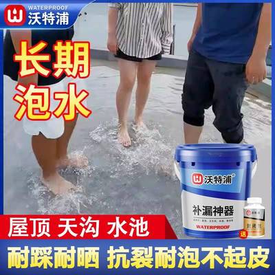 沃特浦防水涂料屋顶天沟补漏材料房顶裂缝漏水专用楼顶防漏防水胶