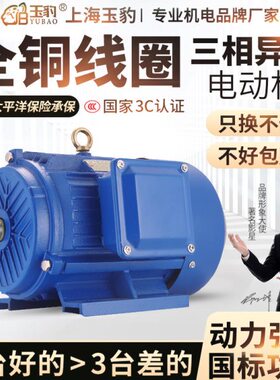 155511//22.三相异步电动机3730电机/全铜045国标18///W/  385VK