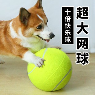 用 狗狗玩具球耐咬大球宠物网球解闷神D器十倍快乐球柯基法斗玩