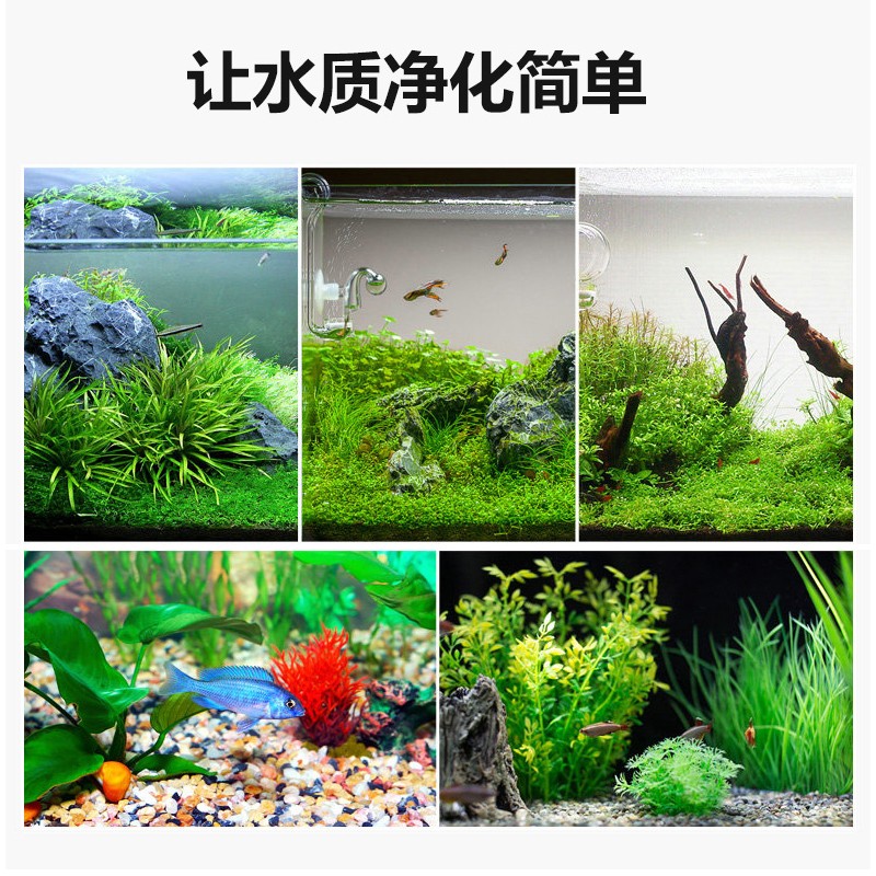 康卿屋过滤器生化培菌棒水族箱底滤鱼缸过P滤材料净化水生物柱