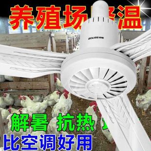 猪圈羊圈牛场专用养殖猪舍鸡舍猪厂用降温大冷风 吊扇纯铜电风扇