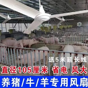 养猪场专用吊扇猪舍通风降温散热电风扇养殖场三叶工厂1米大挂扇