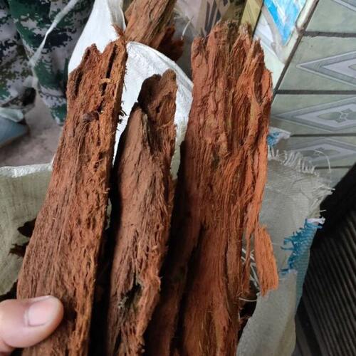 胡蜂筑巢材料红桉树皮一斤