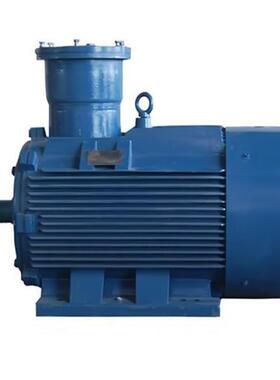 江苏新大力防爆型三相异步电动机YB2CT4-355S-6160W6电机