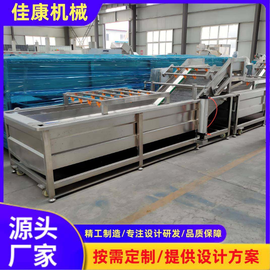 全自动果蔬气泡清洗机茶油果高压气泡清洗机懒人菜清洗设备
